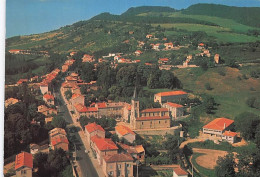 Delcampe - 69 LIMONEST VUE GENERALE ET MONT VERDUN - Limonest
