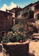 Delcampe - 83 BORMES LES MIMOSAS VIEUX PUITS FLEURI - Bormes-les-Mimosas