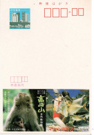 Delcampe - 98203 - Japan - 1985 - ¥40 Reklame-GAKte "Zoo Takasakisan, Oita", Ungebraucht - Singes
