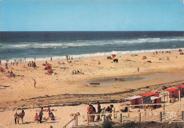 Delcampe - 40 BISCARROSSE LA GRANDE PLAGE - Biscarrosse
