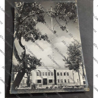 Delcampe - Cartolina Caltanissetta - Stazione RAI - Antenna - Caltanissetta
