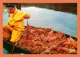 Delcampe - A518 / 221 Couleurs De Bretagne Arrivage De Langoustes - Fishing