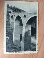 Delcampe - Cartolina ITALIA FERROVIA BELLUNO - CADORE VIADOTTO SULLA VALLE ORSINA E GALLERIA LAGOLE Italy Postcard - Belluno