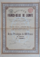 Delcampe - Société Franco-Belge De Lignité - Action Priviligiée De 100 Francs - 1910 - Bruxelles - Autres & Non Classés