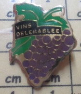 Delcampe - Pin313e     BOISSONS VINS DELERABLEE GRAPPE RAISIN - Boissons