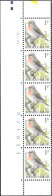 Delcampe - Belgio/Belgium/Belgique: Acanthis Flammea - Cernícalo