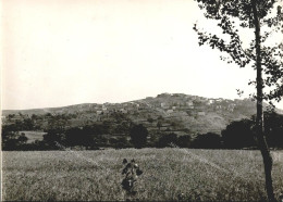 Delcampe - Ei300 Cartolina Trentinara,veduta Generale,provincia Di Salerno - Salerno