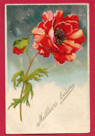 Delcampe - AE823 FANTAISIES FLEURS COQUELICOT CARTE GAUFREE - Blumen