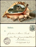 Delcampe - Niederzwönitz  (Erzgebirge) Gasthaus  - Muschellitho 1902  A-Stempel: Zwickau - Zwönitz
