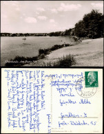 Delcampe - AK Grünheide (Mark) Peetzsee 1962   Landpoststempel "Grünheide über Erkner" - Grünheide