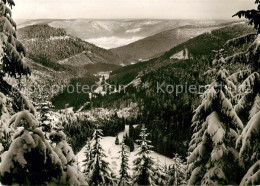 Delcampe - Lamm Kniebis Landschaftspanorama Schwarzwald - Freudenstadt