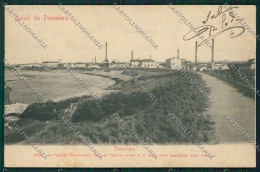 Delcampe - Pisa Pontedera Cartolina QQ3253 - Pisa