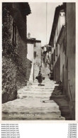 Delcampe - 83 - BORMES - S07879 - Vieille Rue - CPSM 14x9 Cm - - Bormes-les-Mimosas