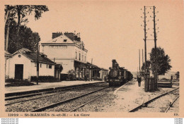 Delcampe - 77 - ST MAMMES - S07838 - La Gare - Train - Saint Mammes