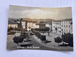 Delcampe - SINALUNGA ( SIENA ) PIAZZA GARIBALDI 1966 - Siena