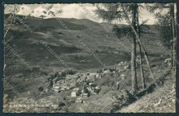 Delcampe - Como San Fedele D'Intelvi Foto Cartolina BB4272 - Como