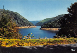 Delcampe - 19-ARGENTAT-VALLEE DE LA DORDOGNE-N°4518-B/0349 - Argentat