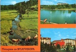 Delcampe - 0146 / Zlatibor – Serbia - Serbien