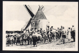Delcampe - 13 FONTVIEILLE EN PROVENCE - Gardians Et Provençales Au Moulin De Daudet - Fontvieille