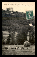 Delcampe - 78 - ST-REMY-LES-CHEVREUSE - PROPRIETE DE MONTGOMERY - CHATEAU - St.-Rémy-lès-Chevreuse