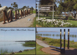 Delcampe - Australia Menindie South Lake Albert Lions Park Town Sign Unposted #PBC549 - Löwen