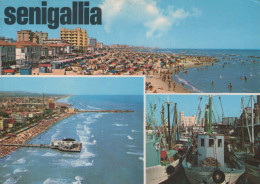 Delcampe - Italia Senigallia Spiaggia Affollata Molo E Porto Spedita #PBD669 - Senigallia