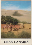 Delcampe - ESPAÑA Maspalomas Islas Canarias Paisaje Desértico Con Camellos #PBD545 - Gran Canaria