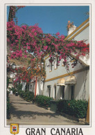 Delcampe - ESPAÑA Puerto De Mogán Canarias Calle Típica Con Buganvillas #PBD547 - Gran Canaria