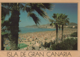 Delcampe - ESPAÑA Las Palmas De Gran Canaria Islas Canarias Playa De Las Canteras #PBD526 - Gran Canaria