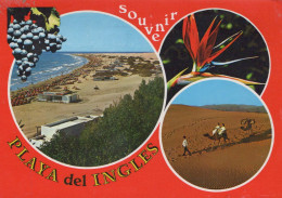 Delcampe - ESPAÑA Playa Del Ingles Islas Canarias Paisaje De Playa Y Dunas Oblitado #PBD517 - Gran Canaria