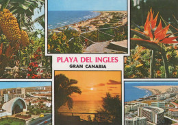 Delcampe - ESPAÑA Gran Canaria Islas Canarias Playa Del Inglés Vistas Panorámicas #PBD522 - Gran Canaria