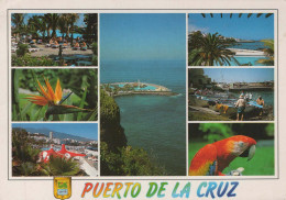 Delcampe - ESPAÑA Puerto DE LA Cruz Canarias Paisaje Costero Piscinas Barcos Fauna #PBD464 - Tenerife