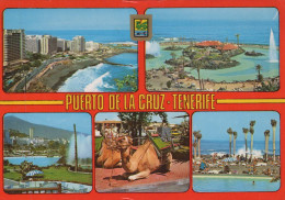 Delcampe - ESPAÑA Puerto DE LA Cruz Islas Canarias Vistas Lido Martianez Oblitérada #PBD461 - Tenerife