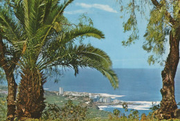 Delcampe - ESPAÑA Puerto DE LA Cruz Islas Canarias Vista Panorámica Costera #PBD431 - Tenerife