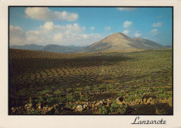 Delcampe - ESPAÑA Lanzarote Canarias La Geria Paisaje Volcánico Viticultura #PBD419 - Gran Canaria