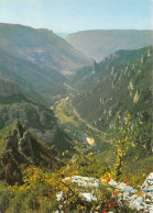 Delcampe - 48-GORGES DU TARN-N°C-3653-D/0391 - Gorges Du Tarn