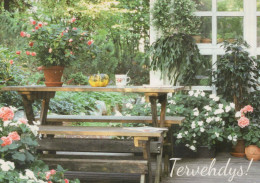 Delcampe - Finland Garden Lush Flowering Garden Scene With Wooden Table Potted #PBX445 - Blumen