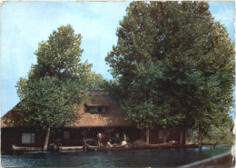 Delcampe - Delta Dunarii - Romania