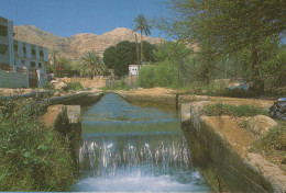 Delcampe - Palestinian Territories Jericho Elisha S Fountain Oasis Unposted #PBY134 - Palästina