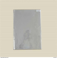 Delcampe - 1 Kg (+/- 206) Bescherm-/insteekhoesjes 210x260 Mm Voor Strips En Tijdschriften - Sonstige