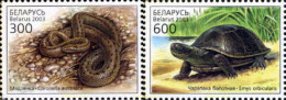 Delcampe - 132082 MNH BIELORRUSIA 2003 REPTILES - Belarus
