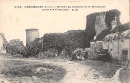Delcampe - 78 CHEVREUSE EUINES DU CHÂTEAU - Chevreuse
