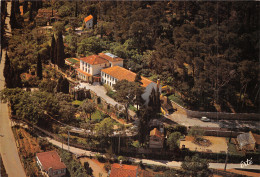 Delcampe - 83 HYERES LES PALMIERS MAISON FAMILIALE - Hyeres