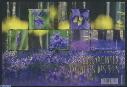 Delcampe - Belgium 2017 Forest Hyacinths S/s, Mint NH, Nature - Flowers & Plants - Ongebruikt