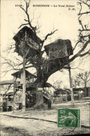 Delcampe - CPA Robinson Le Vrai Arbre - Le Plessis Robinson