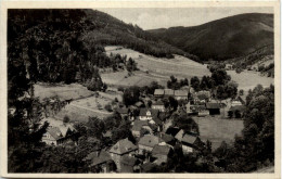 Delcampe - Sommerfrische Rohrbach I. Thür. Wald - Saalfeld