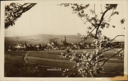 Delcampe - CPA Domazlice - Tschechische Republik