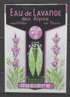 Delcampe - ETIQUETTE  DE  PARFUM  Des  Années  1930    Superbe - Etiquettes