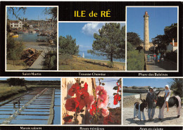 Delcampe - 17 ILE DE RE ILE DE RE - Ile De Ré