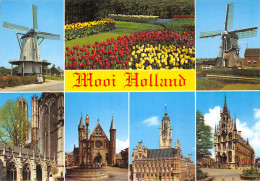 Delcampe - PAYS BAS MOULIN - Sonstige & Ohne Zuordnung